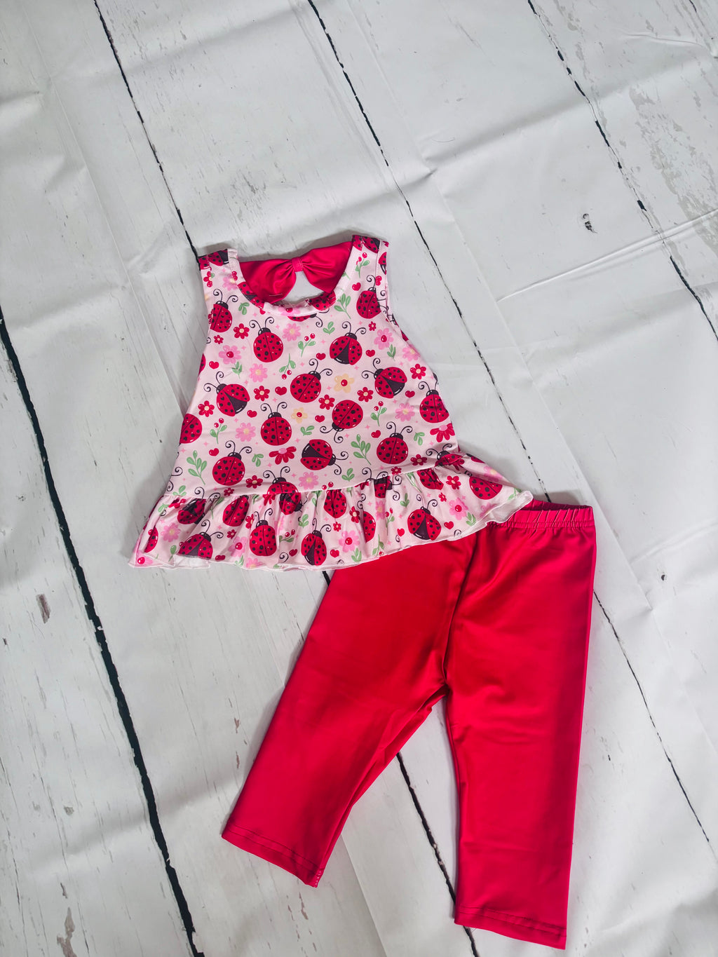 Ladybug Lovelies 2 Piece Set