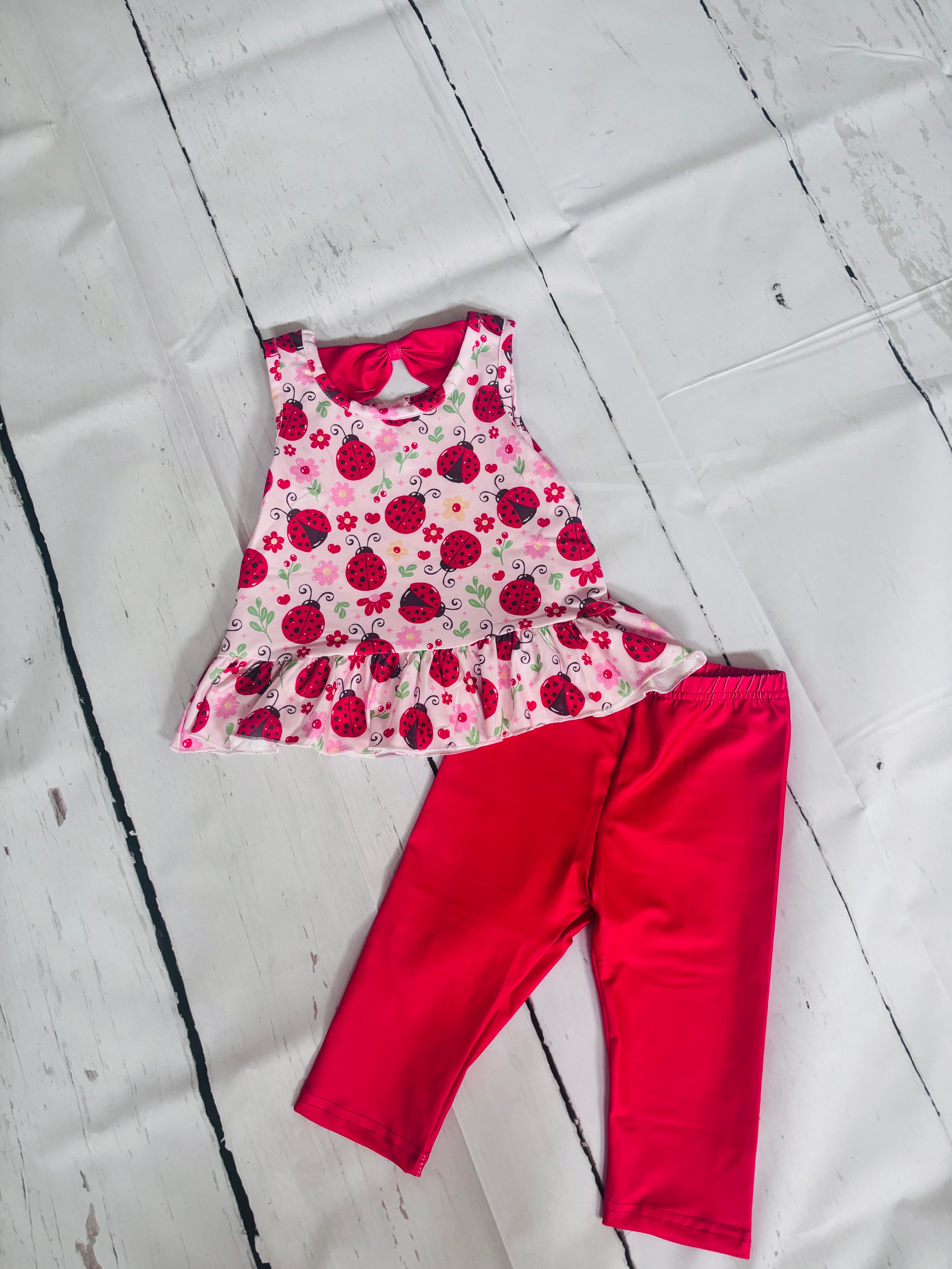Ladybug Lovelies 2 Piece Set